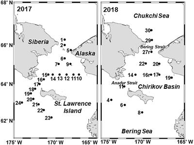 Effects of Early Sea-Ice Reduction on Zooplankton and Copepod Population Structure in the Northern Bering Sea During the Summers of 2017 and 2018